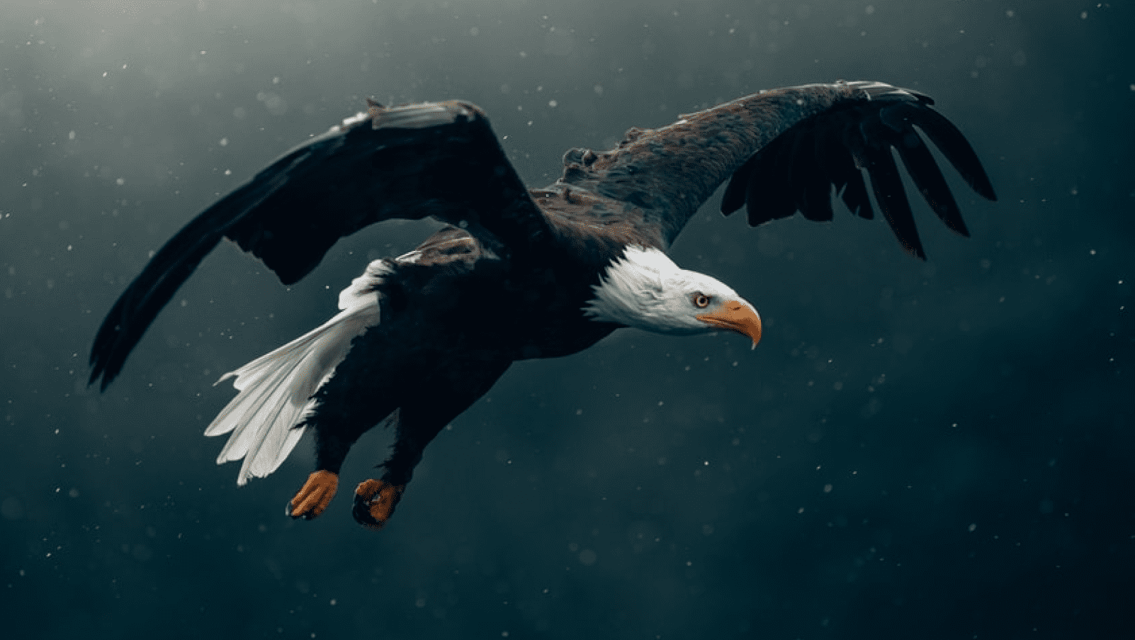 Nature’s Architects: Animals That Build Incredible Structures